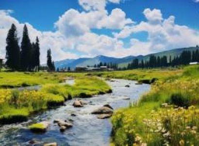 4 Nights 5 Days Kashmir Tour Plan 4 Pax