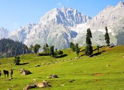 Memorable Kashmir Tour