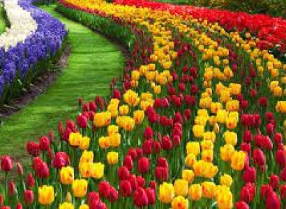 Magical Kashmir Tour