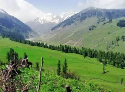 Exortic Camping Trip