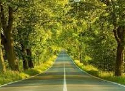 Exortic Kashmir Trip