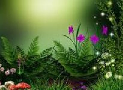 Kashmir Memorable Tour