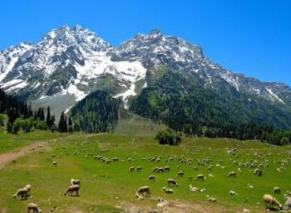 Unreal Kashmir Tour Package