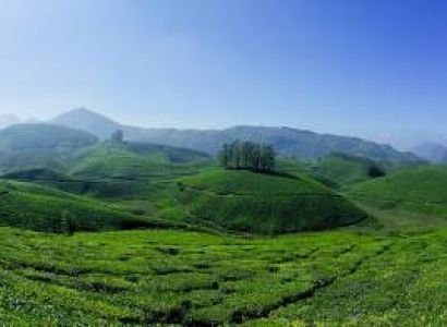 4 Night / 5 Day to Kochi, Munnar, Alleppey, Trivandrum, Thiruvanathapuram