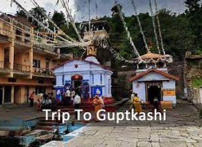 11 Nights 12 days Char Dham yatra