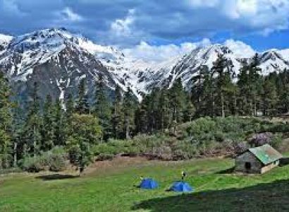 Shimla Narkanda Jibhi 7 Night 8 Days
