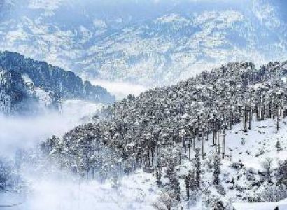 2 Night - 3 Days Patnitop Tour