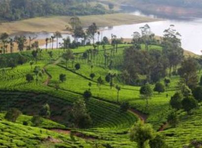 Thekkady Tour Packages