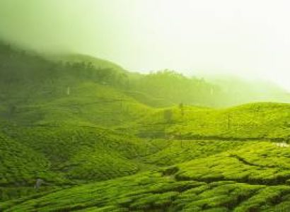Thekkady Tour Packages