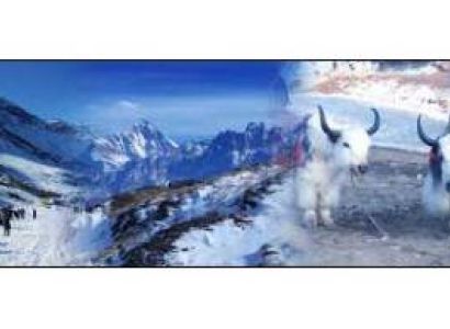 Himachal Special Tour Package Only 5 Nights 6 Days