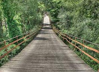 2 Nights / 3 Day  new delhi, Chail Sanctuary