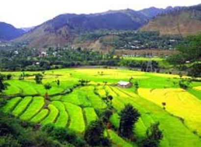 8n/9d Chandigarh to Kinnaur