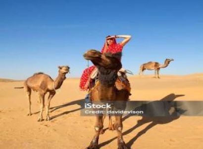 5 Nights 6 Days Rajasthan Tour Packages
