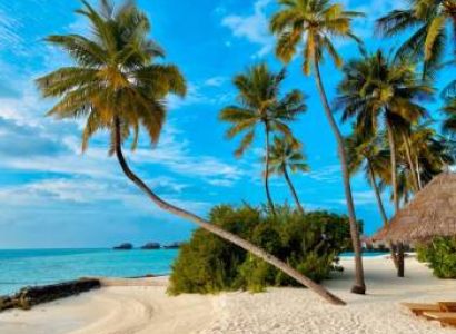 5 Night 6 Days Tour to local Island