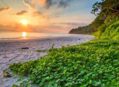 Baratang Island Tour Packages