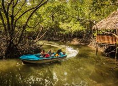 Havelock Tour Packages