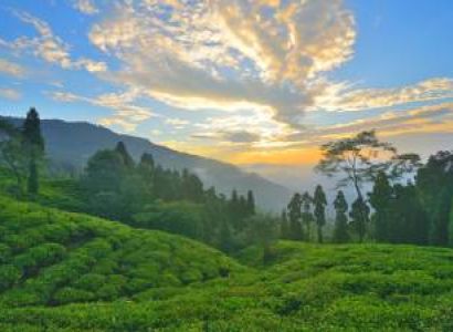 4N/5D Sittong & Takdah Tour