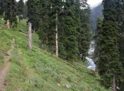 Mata Vaishno Devi And Kashmir Tour