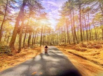 6 Night - 7 Day Way To Bhutan Tour