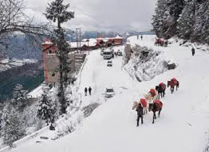 Shimla Manali 4 Night 5 Days Ex - Delhi