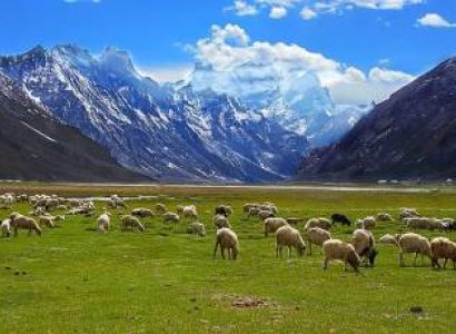 5 Nights - 6 Days Best Of Ladakh Tour