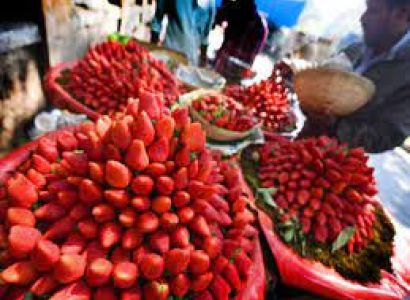 1 Night - 2 Day Mahabaleshwar Package