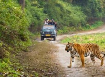 Jim Corbett Tour