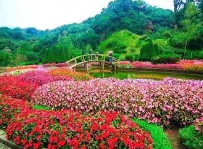 Ooty 2 Nights 3 Days