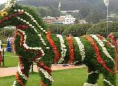 Ooty 2 Nights 3 Days