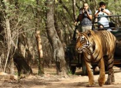 3 Nights 4 Days Kanha Wildlife Tour