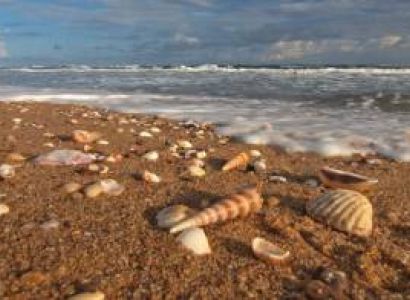 4 Nights - 5 Days Puri Tour Package