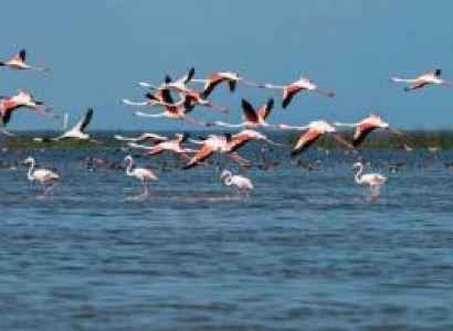 4 Nights - 5 Days Puri Tour Package