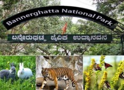 9 Nights 10 Days Karnataka Tour Package