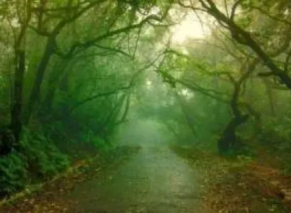 Pratapgarh Tour Packages