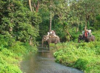 Green Dooars - Jaldapara - Lataguri 3N - 4D Tour