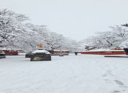 Manimahesh Yatra 2026 & Best Manimahesh Kailash Trek Package from Pathankot | Trek Cost & Booking