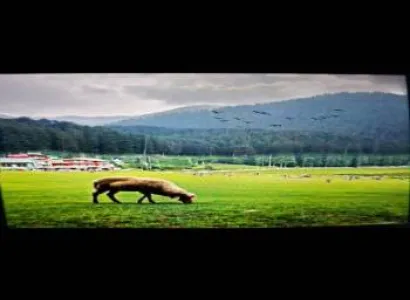 Manimahesh Kailash Yatra Package