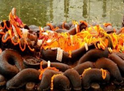 Voyage of Bandipur & Pokhara Tour