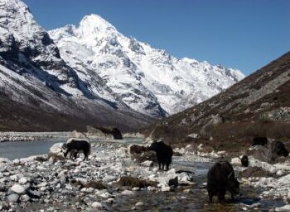 Langtang Valley Adventure Tour