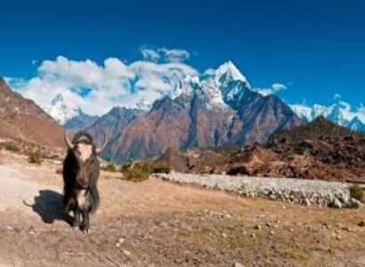 Muktinath Darshan Tour 6 Days