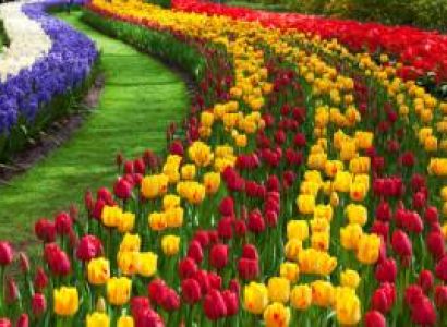 Kashmir Tour For 5 Days