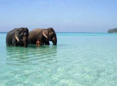 4 Nights - 5 Days Andaman Package
