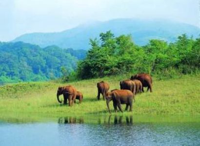 5 Nights - 6 Days Ooty - Pykara - Coonoor - Avalanche Tour