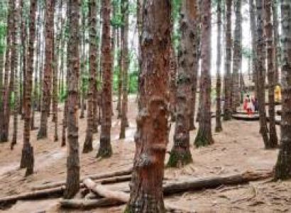 3 Night 4 Day Ooty - Pykara - Coonoor Tour Package