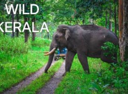 Wild Kerala - 4 Nights 5 days