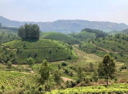 Thekkady Tour Packages