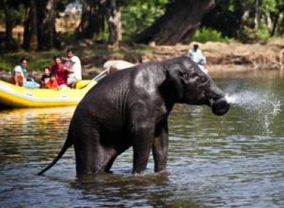 Honeymoon Special Coorg