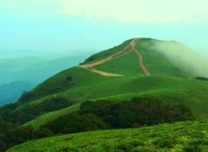 Honeymoon Delight - Coorg & Ooty