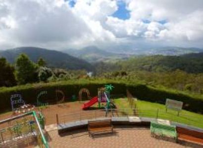 Honeymoon Delight - Coorg & Ooty