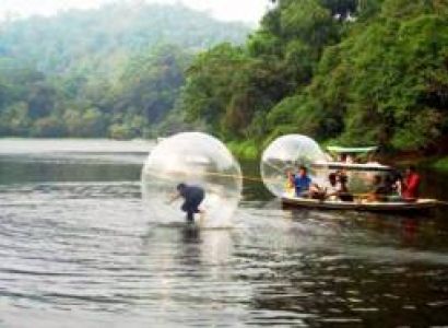 Wayanad Family Gateway